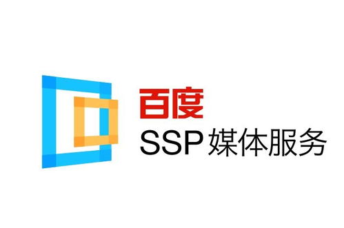 国内蜘蛛池排名